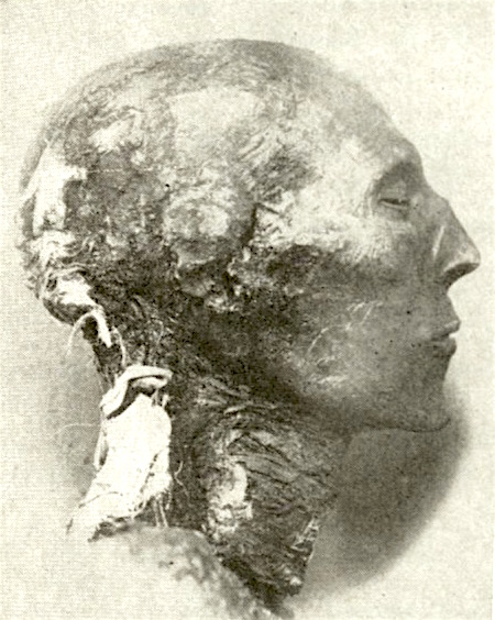 Mummified Head of Pharaoh Seti I of the XIX Dynasty