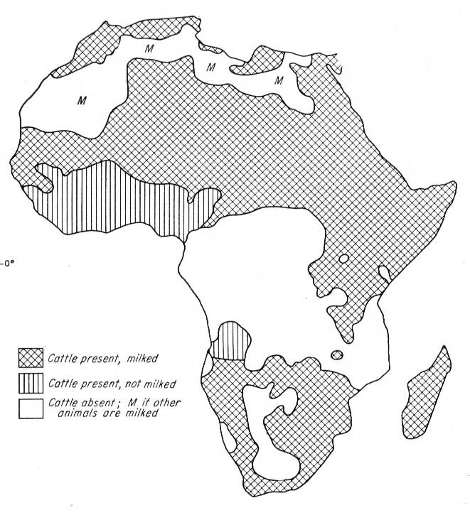 Distribution of Cattle and of Milking